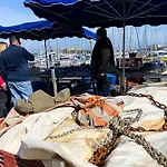 Superbe Dans Le Coeur De La * Antibes