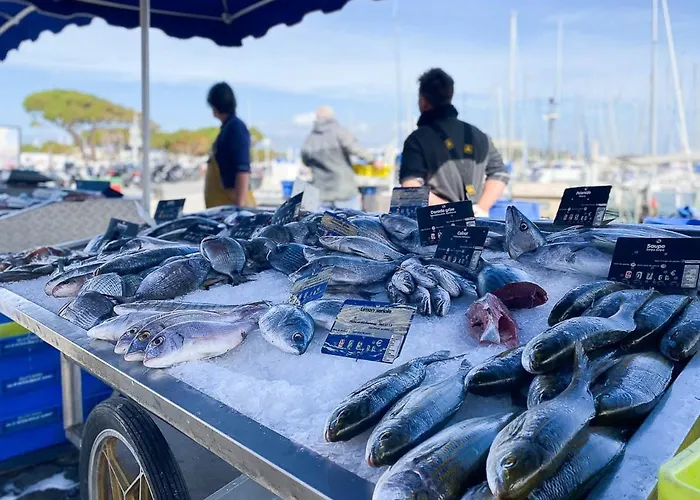 Superbe Dans Le Coeur De La *