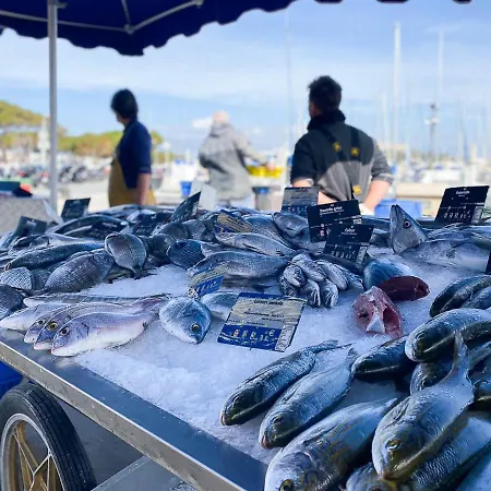 Superbe Dans Le Coeur De La *